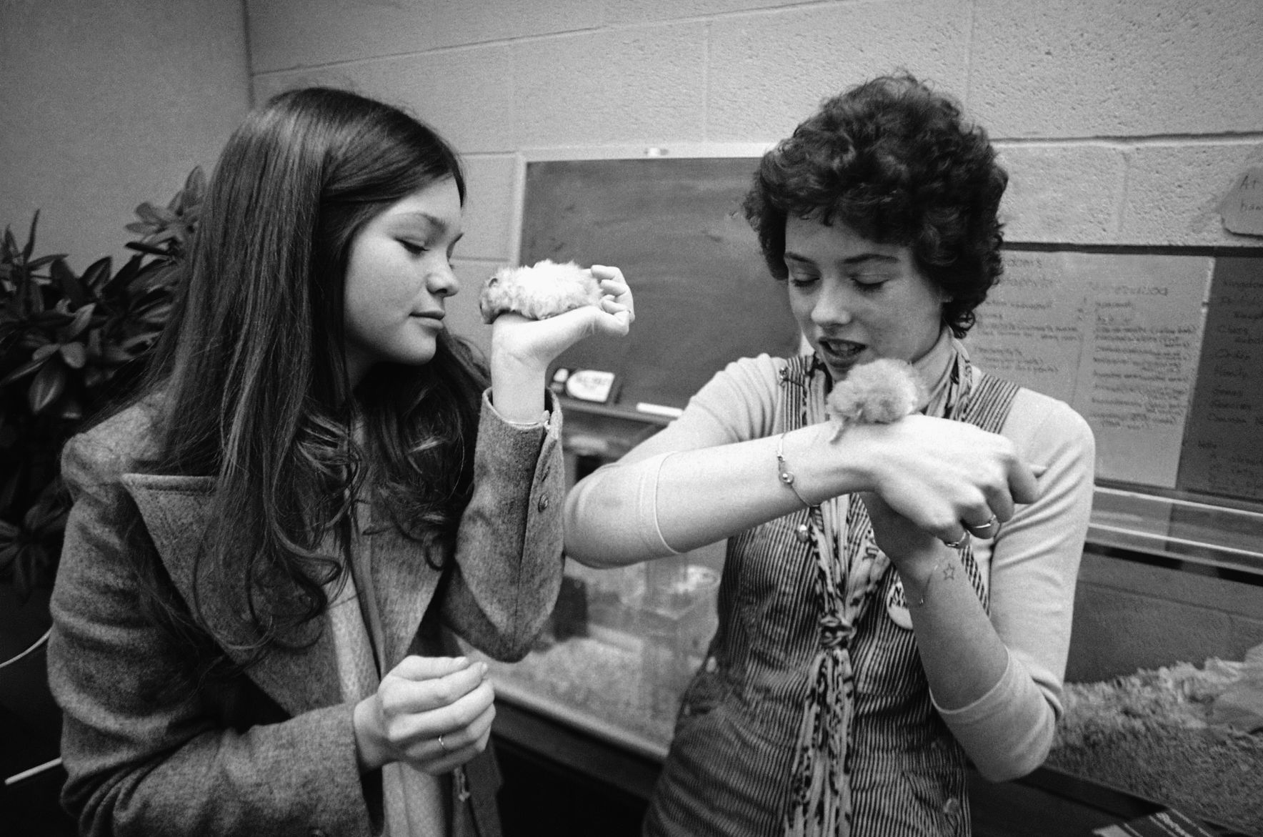 1977: Mackenzie Phillips And Valerie Bertinelli